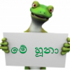 හූනා වැටෙන්න ඕන තැන අපට දන්වන්න.. - sAm's Pet "The Hoona"