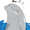 Why Dolphins Can't Sleep Like Humans?