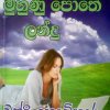 සිල්ලර වෙළෙඳාමට ලියන පොත් කෑලි! - අමරෙගෙ විචාර