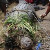 man - crocodile conflict of Sri Lanka