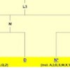 mtDNA of Sri Lankans