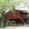 The Pros and cons of the kokmote Bungalow Wilpattu.