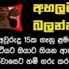 එක්ස්-ඒලියන් (ex-alien)