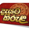 අවසන් දින දැයට කිරුල සෙනග අඩුයි