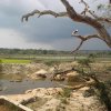 Beautiful location in Yala National Park Sri Lanka