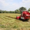 The case for scale in  Paddy Cultivation in Sri Lanka