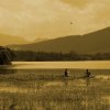 Fishing in Bathalagoda Tank
Photograph by Kesara...