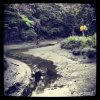 Kell Park stream
#albany #northshore #auckland #newzealand #nz ...