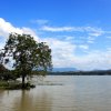 Bathalagoda Tank - Ibbagamuwa
Photograph by Kesara...