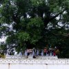 Bodhi Pooja | බෝධි පූජා
Photo taken near Temple of the Tooth,...