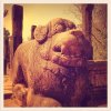 Guardian Lions -  Ancient City, Polonnaruwa