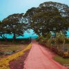 Road to Tissa Wewa
Photograph by Kesara Rathnayake [flickr].