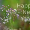 Happy New Year!
[View Background Photograph]
——This work was...