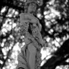 The Lady
Photo taken at Albert Park, Auckland Central, New...