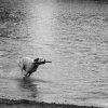 Running on the Water
Photo taken at Onehunga Bay Reserve,...