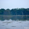 Morning at Udawalawe National Park by Kesara.