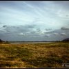 Minneriya Tank
Photo taken at Minneriya National Park (මින්නේරිය...