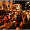 Sri Dalada Perahera - 2012
Kandy Esala Perahera (මහනුවර ඇසළ...