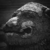 Lion Head #2


Taken with Holga HL-C lens.
Photograph by Kesara...