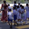 School Children
Photograph by Kesara.
School Children crossing a...