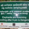 Sri Lankan elephants roar. You’ve been warned. Spotted in...