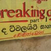 ‘Baking Dawn,’ it says in Sinhala. Might as well,...