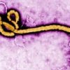 US involvement with Ebola Virus