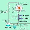 කොයි ලෙසටද ජීවය බිහි වූයේ? (Fun with Science - 2)