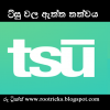 අලුත්ම ට්සු (TSU) ප්‍රෝඩාව