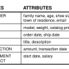 SQL - (5) Entities, Instances, Attributes සහ Identifiers