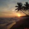 polhena beach (srilanka)  in the evening!