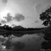 Reflections at Ibbagamuwa, Sri LankaPhotograph by Kesara...