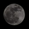 Moon - Day 0 - Full Moon