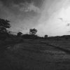 Paddy Fields in Ibbagamuwa, Sri LankaPhotograph by Kesara...