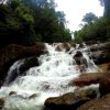 Kanneliya WaterfallPhoto taken at Kanneliya Rainforest, Sri...