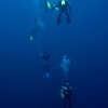 Photo of the Week (01/30/2012): Pro Divers