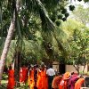 Anuradhapura’s Sacred City