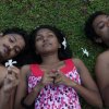 To be or not to be gay – Frangipani and the travails of homosexuals in Sri Lanka