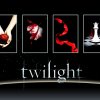 'Twilight' වාර්ථා පිට වාර්ථා තබයි.....