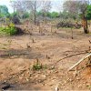 Land Fragmentation: An Environmental Crisis