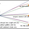 ලේසි වැඩේ කෝකද? මෙන්න උත්තරේ