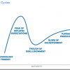 The Hype Cycle