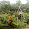 An Undiscovered Forest Monastery - Gothama Thapowanaya