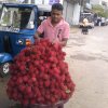 Rambutan Season