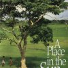 A Place in the Sun : Stories To Uplift Your Soul