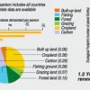 Hidden enemies of a green economy