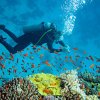 Scuba Diving in Sri Lanka