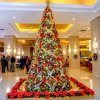 Cinnamon Colombo Hotels Lights Up for the Season and Welcomes You to the Christmas Destination in the City
