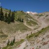 [Photoblog] Mount Hood: Zigzag mountain trail