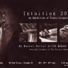 intuition 2013 - master potter ajith perera